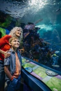 Aquarium at the Boardwalk Branson Missouri 46000 square feet with underwater tunnel sharks rays and touch pools