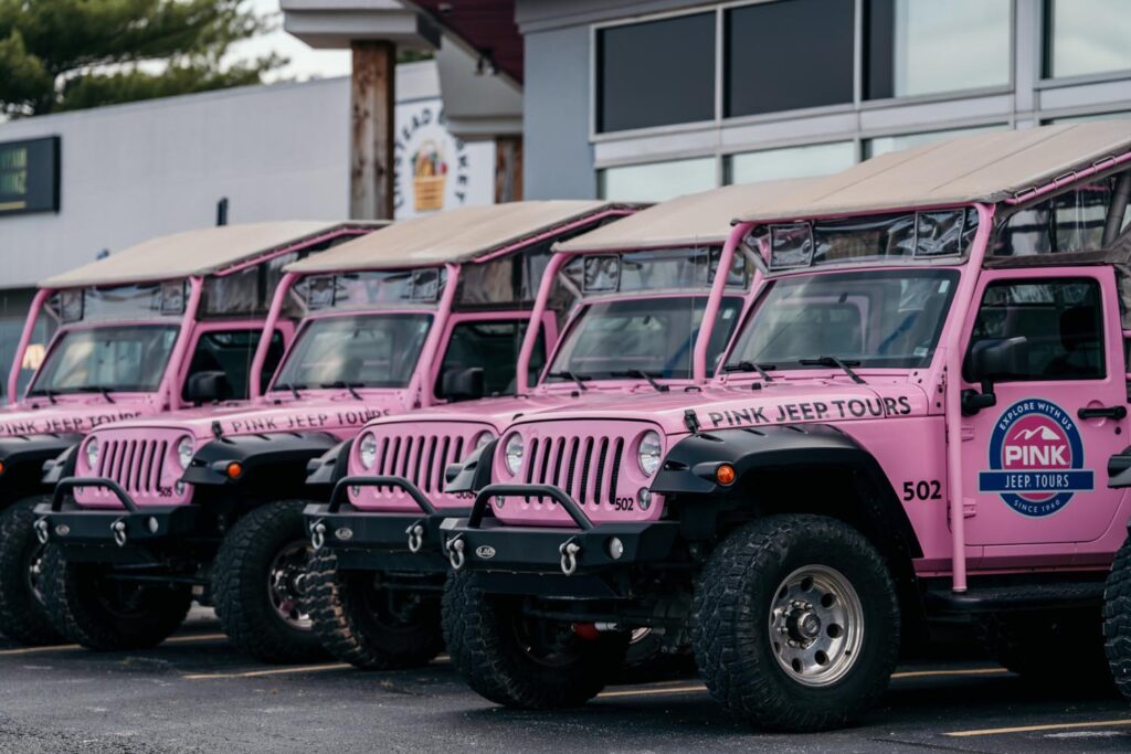 Pink Jeep Tours