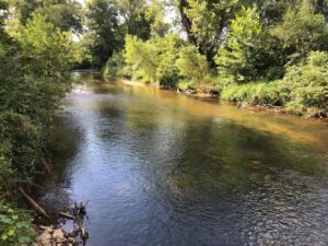 Kayaking in Branson, Missouri