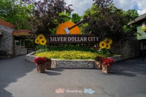 Places Near Silver Dollar City