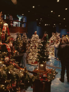 Trees for sale at Branson's Festival of Trees 2025