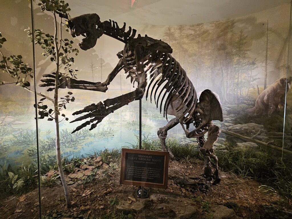 Ancient Ozarks Natural History Museum