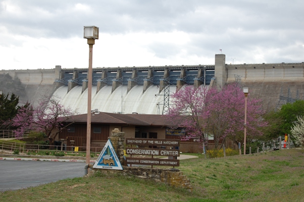 Shepherd of the Hills Fish Hatchery