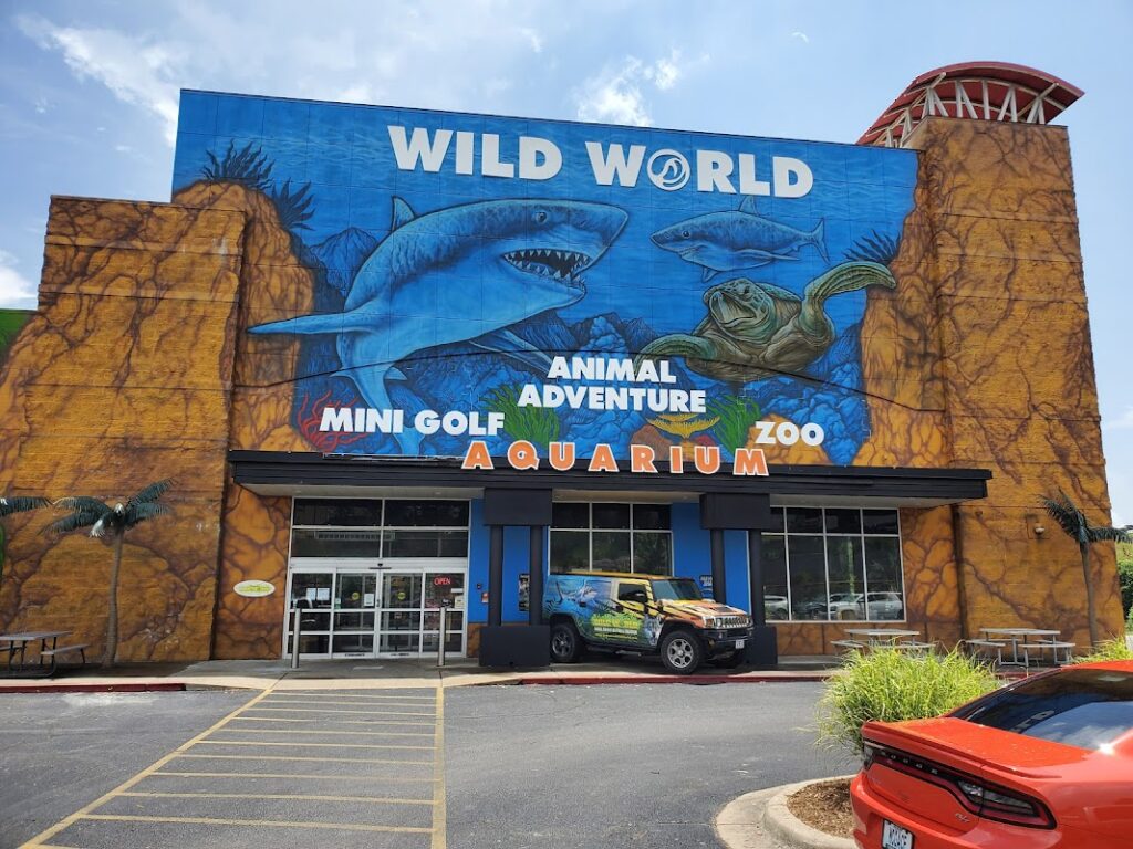 Branson’s Wild World
