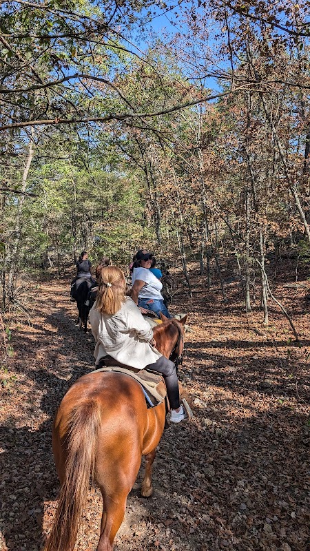 Ozark Mtn. Trail Rides