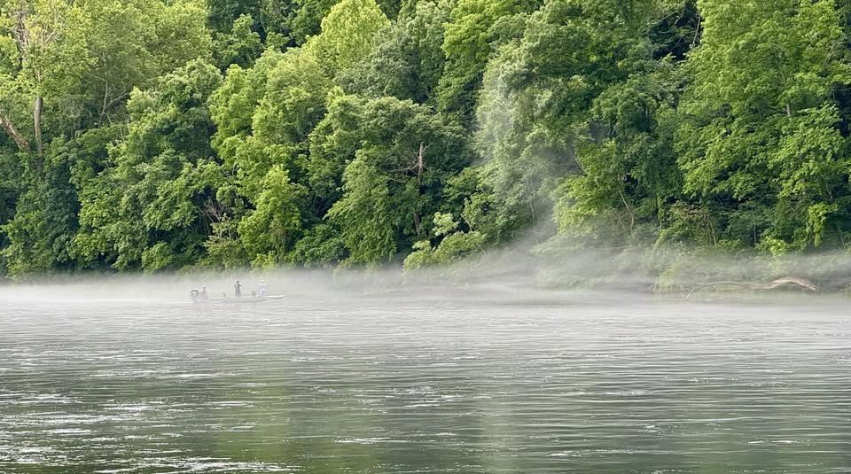 Bull Shoals Lake Arkansas shoreline at sunrise with fishing boat showing walleye and bass fishing destination