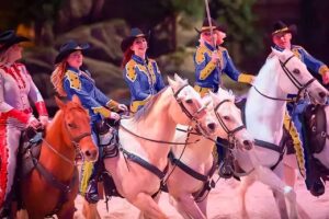 Pre-show Horse Walk at Dolly Parton’s Stampede Branson where guests meet the horses up close before showtime