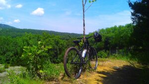 Branson mountain biking on an Ozark singletrack trail near Branson Missouri — wooded, rocky terrain