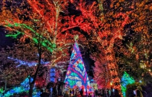 Silver Dollar City An Old Time Christmas festival Branson Missouri — millions of lights for the holiday season
