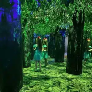 Emerald Forest Mirror Maze at Butterfly Palace Branson Missouri — family adventure inside the indoor rainforest