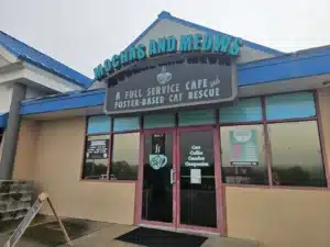 Mochas and Meows cat cafe coffee shop Branson Missouri with adoptable cats and espresso drinks