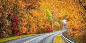 Two-lane scenic highway curving through red and gold autumn trees in the Missouri Ozarks