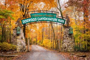 Waterfall cascading over rock ledges at Dogwood Canyon Nature Park surrounded by orange and gold fall foliage near Lampe, Missouri