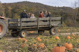 Families enjoy a hayride through a pumpkin patch at a Branson fall festival