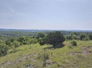 Open glade and dolomite bluff at Ruth and Paul Henning Conservation Area, bouldering in the Ozarks
