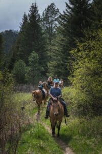 Guided riders on horseback following a shaded wooded trail, Branson horseback riding in the Ozarks