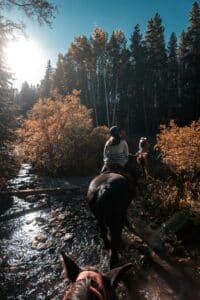 Riders on a guided horseback tour