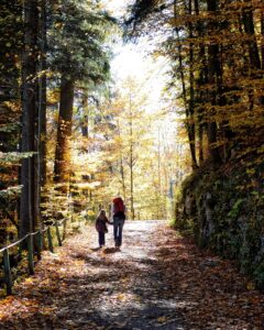 Children crossing a footbridge on a shaded, kid-friendly Branson nature trail.