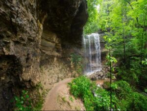 Wooded trail at Lakeside Forest Wilderness Area, a scenic Branson picnic area