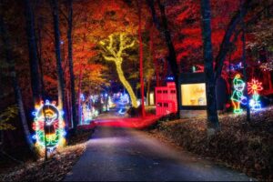A drive-through Christmas lights trail at night in Branson